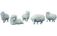 Botanic-Haus Krippenfiguren  Wollschafe 5.5 cm