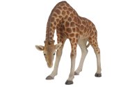 Vivid Arts Dekofigur Giraffe