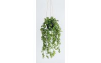 Botanic-Haus Kunstpflanze Eukalyptus hängend 58 cm