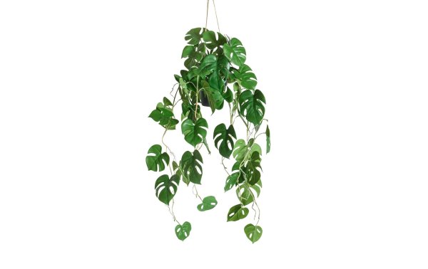 Botanic-Haus Kunstpflanze Philodendron hängend 86 cm