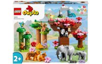 LEGO® DUPLO® Wilde Tiere Asiens 10974