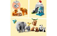 LEGO® DUPLO® Wilde Tiere Asiens 10974