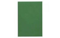 Artoz Schreibpapier 1001 A4 100 g/m² Tannengrün, 5 Blatt