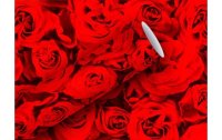 Braun + Company Geschenkpapier Red Roses 70 cm x 2 m, 80...
