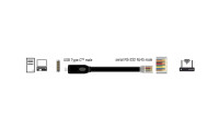 Delock Konsolenkabel USB-C - RJ45 RS-232, Cisco kompatibel, 2m
