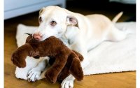 Wolters Hunde-Spielzeug Plüschhund, 30 cm