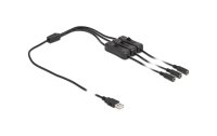 Delock USB-Kabel USB-AStecker zu 3x DC 5.5 x 2.1 mm Mit Schalter