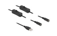 Delock USB-Kabel USB-AStecker zu 2x DC 5.5 x 2.1 mm Mit Schalter