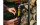 tesa Dichtungsband Extreme Repair 2.5 m x 19 mm Schwarz