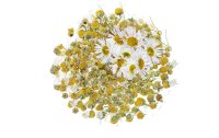 Glorex Blüten Kamille 3g