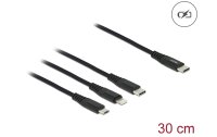 Delock USB-Ladekabel USB C - Lightning/Micro-USB B/USB C 0.3 m