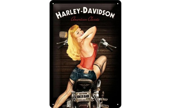 Nostalgic Art Schild Harley Davidson 20 x 30 cm, Metall