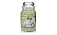 Yankee Candle Duftkerze Vanilla Lime large Jar