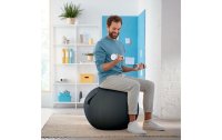 Leitz Sitzball Ergo Cosy Grau