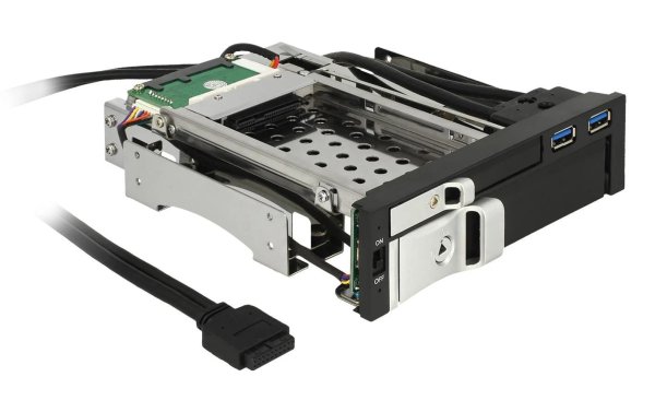 Delock 5.25"-Einbaurahmen 1x3.5", 1x2.5", 2xUSB3 Ports , Hot-Swap