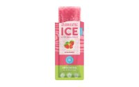 Zebrastic Ice Fruchtpüree-Pulver Erdbeer & Guava 5 Stück