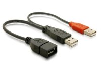 Delock USB 2.0-Y-Kabel  USB A - USB A 0.22 m
