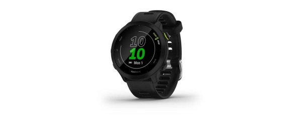 GARMIN Sportuhr Forerunner 55 Grau/Schwarz