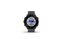 GARMIN Sportuhr Forerunner 55 Grau/Schwarz