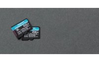 Kingston microSDXC-Karte Canvas Go! Plus 256 GB