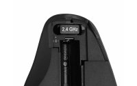 Delock Ergonomische Maus 12598 USB kabellos