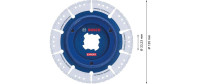 Bosch Professional Diamanttrennscheibe Expert Diamond Pipe Cut Wheel, 125 mm