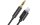 deleyCON Audio-Kabel Apple Lightning - 3.5 mm Klinke 0.5 m