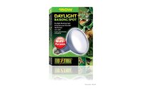 Exo Terra Terrarienlampe Daylight Basking Spot E27, R30/150W