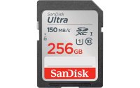 SanDisk SDXC-Karte Ultra 256 GB