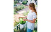 Gusta Garden Kräutertopf HARRY HERBS mit Haube, Weiss