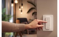 Philips Hue Pendelleuchte White Ambiance Fair, Schwarz, Bluetooth