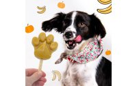 BeG Buddy Hunde-Nahrungsergänzung Eispulver mit Kürbis-Banane, 66 g