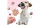 BeG Buddy Hunde-Nahrungsergänzung Eispulver mit Kokos-Erdbeere, 66 g