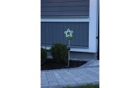 Star Trading Gartenlicht Solardekoration Linny Star, Grün