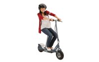 Razor E-Scooter E300S, Grau