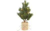 Star Trading Weihnachtsbaum Bodal, 8 LEDs, 35 cm, Grün