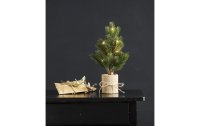 Star Trading Weihnachtsbaum Bodal, 8 LEDs, 35 cm, Grün