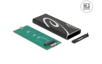 Delock Externes Gehäuse SuperSpeed USB 3.2 Gen 2 - SATA SSD M.2