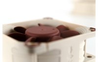 Noctua PC-Lüfter NF-A6x25 PWM