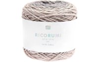 Rico Design Wolle Ricorumi Spin Spin 50 g, Grau
