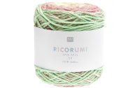 Rico Design Wolle Ricorumi Spin Spin 50 g, Icecream