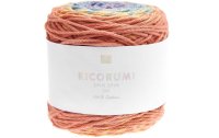Rico Design Wolle Ricorumi Spin Spin 50 g, Earthy Rainbow