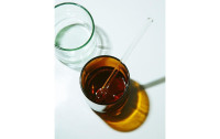 Rebottled Whiskyglas 230 ml, 2 Stück, Olivgrün