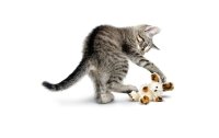 Kong Katzen-Spielzeug Cat Softies Fuzzy Bunny 15 cm