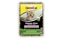 Gimpet Katzen-Nahrungsergänzung Katzengras mit Wiesenduft, 150 g