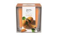 ipuro Duftkerze Orange Sky 125 g