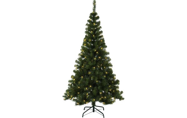 Star Trading Weihnachtsbaum Ottawa  180 LED, 1.8 m