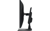 EIZO Monitor FlexScan EV3240X Schwarz