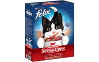 Felix Trockenfutter Sensations Fleisch, 1 kg