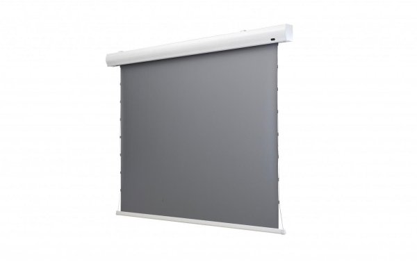 Celexon Tension-Leinwand HomeCinema Dynamic Slate ALR 265x149cm 16:9